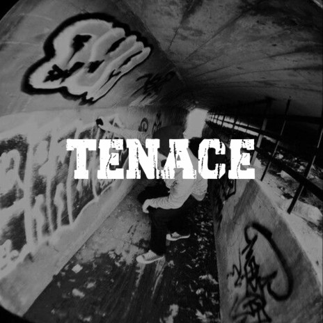 Tenace | Boomplay Music