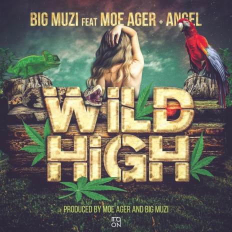 Wild High ft. Moe Ager & AngelXXl | Boomplay Music