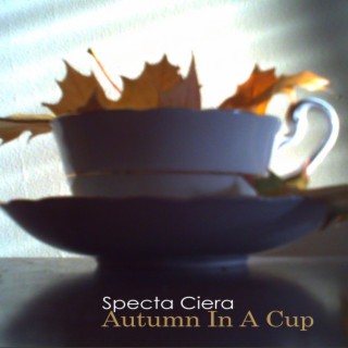 Autumn in a cup