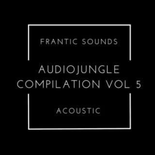 Frantic Sounds Acoustic