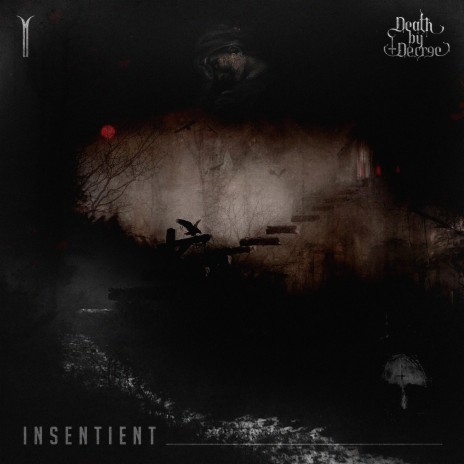 Insentient | Boomplay Music