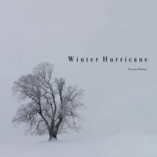 Winter Hurricane