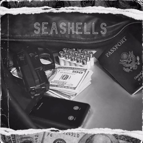 Seashells | Boomplay Music