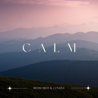 Calm Instrumental Covers