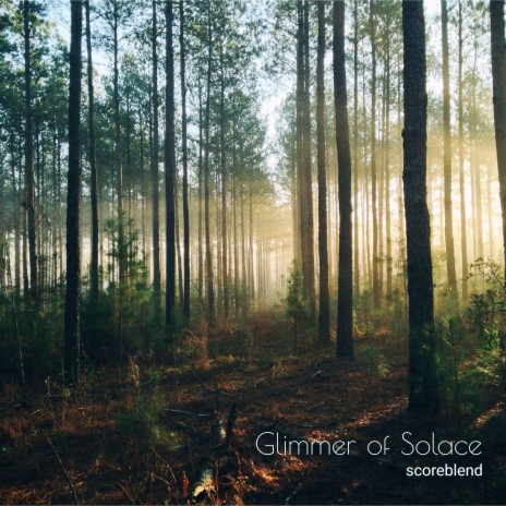 Glimmer of Solace | Boomplay Music