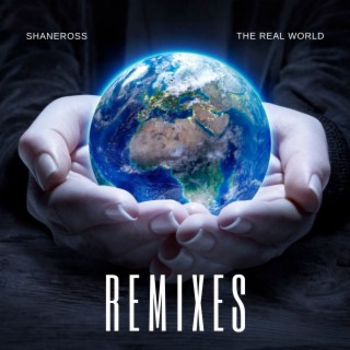 The Real World (Remixes)