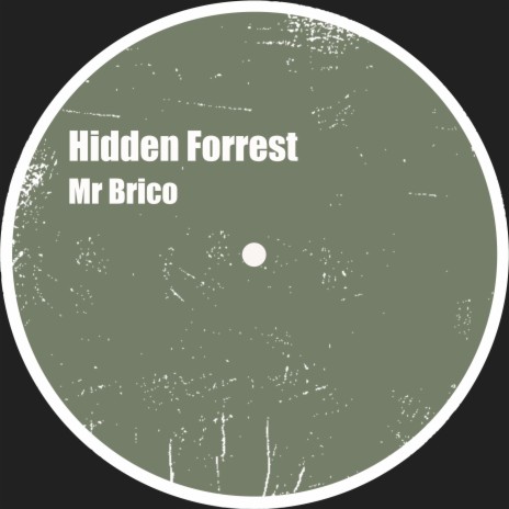 Hidden Forrest | Boomplay Music