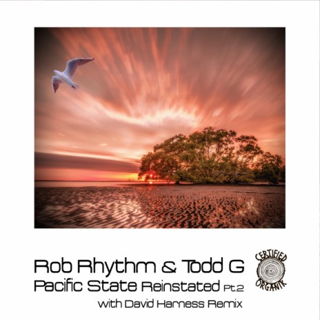 Pacific State Reinstated Pt.2 (Rob's Rhythm Afro Mix) ft. Todd G | Boomplay Music