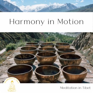 Harmony in Motion: Singing Bowl Journey