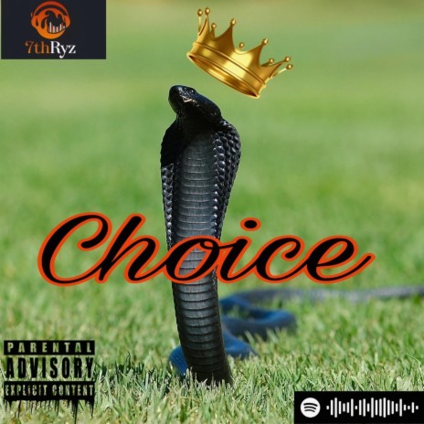 Choice | Boomplay Music
