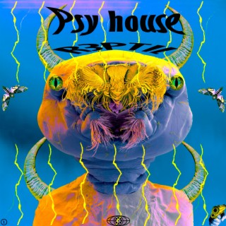 Psy house