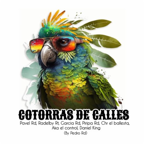 Cotorras De Calles ft. Pavel Rd, Radelby Rt, García Rd, Piripa Rd & Aka el control | Boomplay Music