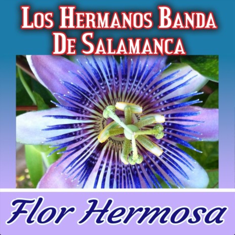 Flor Hermosa | Boomplay Music