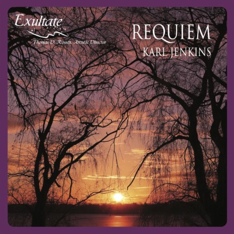 Requiem: 2. Dies Irae ft. Thomas D. Rossin | Boomplay Music