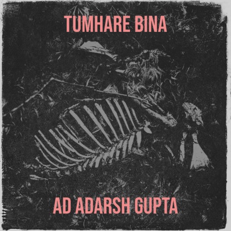 Tumhare Bina | Boomplay Music