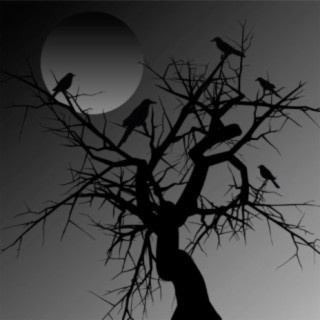 Shadow Work Raven Meditation (How to Meditate Asmr)
