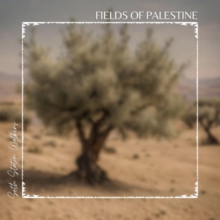 Fields of Palestine