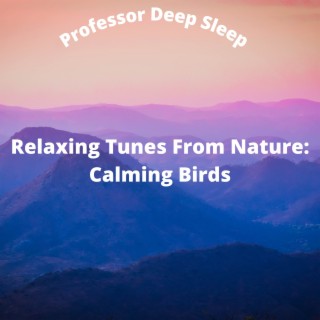 Relaxing Tunes From Nature: Calming Birds