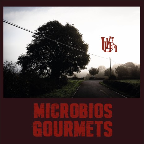 MICROBIOS GOURMETS | Boomplay Music