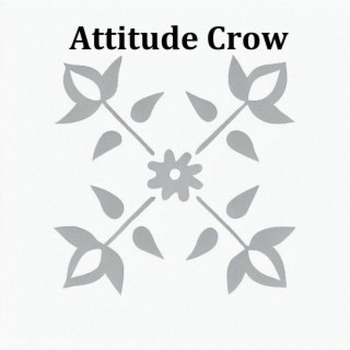 Attitude Crow