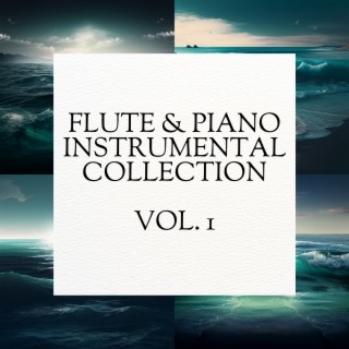 Flute & Piano Instrumental Collection, Vol. 1