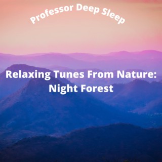 Relaxing Tunes From Nature: Night Forest