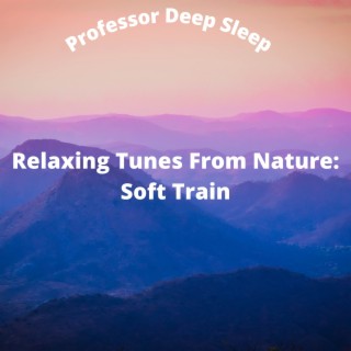 Relaxing Tunes From Nature: Soft Train