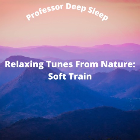 Gentle Soft Train Sounds For Sleep Pt.4