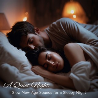 A Quiet Night - Slow New Age Sounds for a Sleepy Night