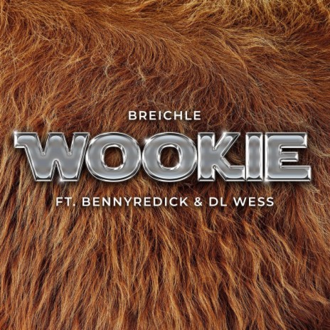 Wookie ft. DL Wess & BennyRedick