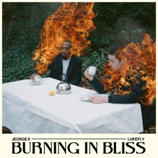 Burning In Bliss