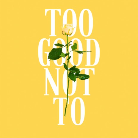 Too Good Not To | Boomplay Music