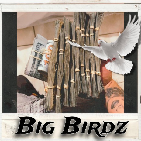 Big Birdz | Boomplay Music