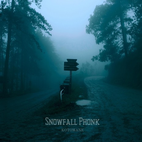 Snowfall Phonk | Boomplay Music
