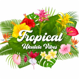 Tropical Ukulele Vibes: Hawaiian Mood & Summer Music