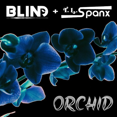 Orchid (Radio Edit) ft. DJ TL SPANX | Boomplay Music