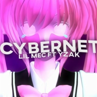 Cybernet