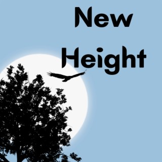 New Height