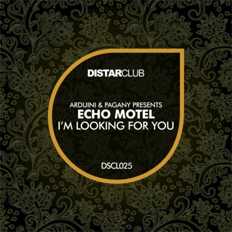 I'm Looking for You ft. Pagany & Echo Motel | Boomplay Music