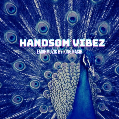 Handsome Vibez | Boomplay Music