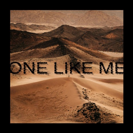 One Like Me | Boomplay Music