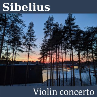 Violin Concerto in D Minor, Op. 47: I. Allegro moderato