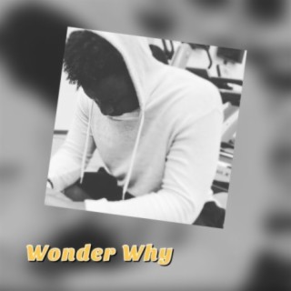 Wonder Why (feat. Fk Lubo)