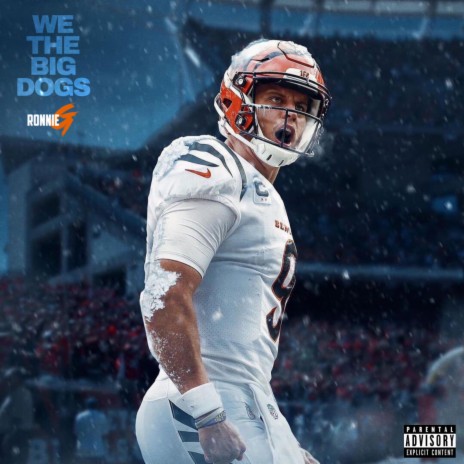 WE THE BIG DOGS | Boomplay Music