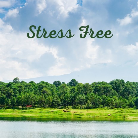 Stress Free | Boomplay Music