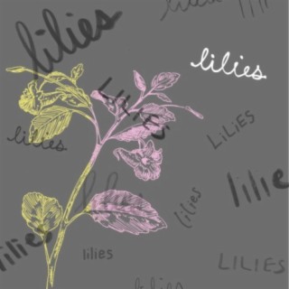 lilies