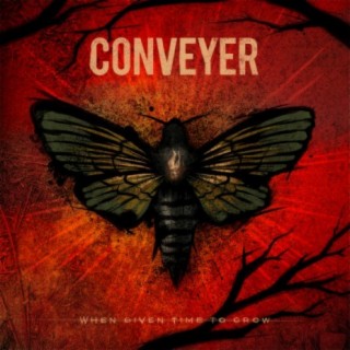 Conveyer