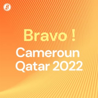 Bravo ! Cameroun Qatar 2022