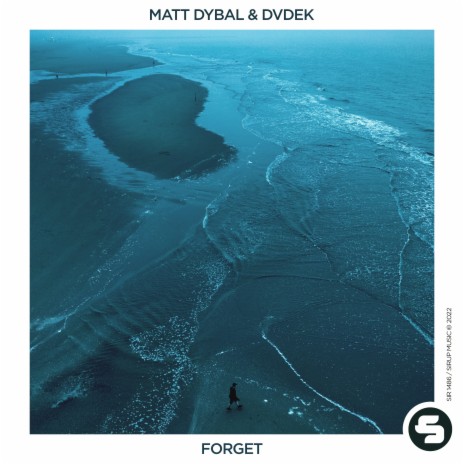 Forget (Extended Mix) ft. DVDEK | Boomplay Music