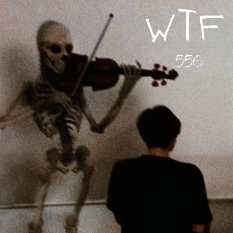 WTF | Boomplay Music